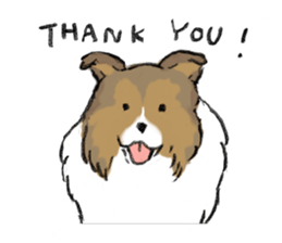 Sheltie sticker #6860912