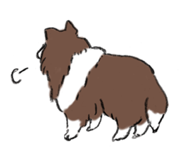 Sheltie sticker #6860916