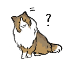 Sheltie sticker #6860917