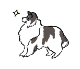 Sheltie sticker #6860922