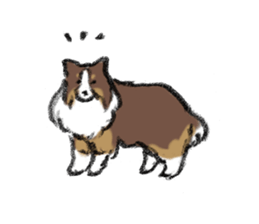Sheltie sticker #6860925