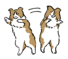 Sheltie sticker #6860928