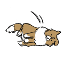 Sheltie sticker #6860929