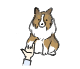 Sheltie sticker #6860933