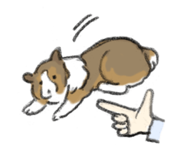 Sheltie sticker #6860934