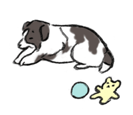 Sheltie sticker #6860935