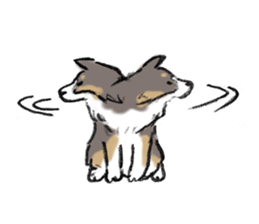 Sheltie sticker #6860936