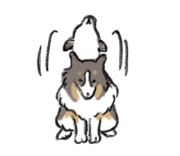 Sheltie sticker #6860937