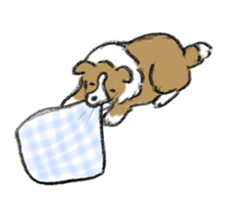 Sheltie sticker #6860940