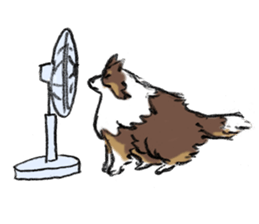 Sheltie sticker #6860943