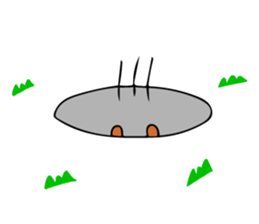 Squirrel's sticker in english version. sticker #6861611