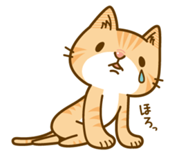 Fun daily life of a cat sticker #6862730