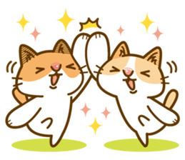 Fun daily life of a cat sticker #6862740