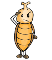 Insecta sticker #6864261