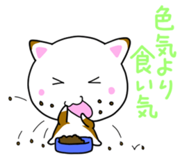 Daily whim cat! sticker #6864895