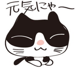 Cool beauty cat Chi. sticker #6866705