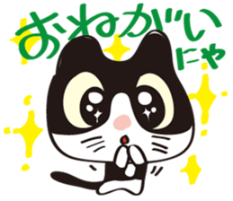 Cool beauty cat Chi. sticker #6866706