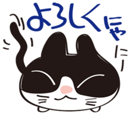 Cool beauty cat Chi. sticker #6866707