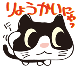 Cool beauty cat Chi. sticker #6866715