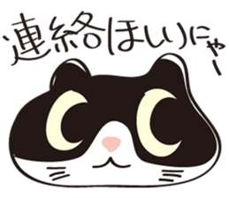 Cool beauty cat Chi. sticker #6866718