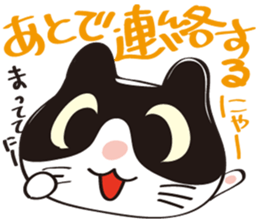 Cool beauty cat Chi. sticker #6866719