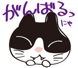 Cool beauty cat Chi. sticker #6866723