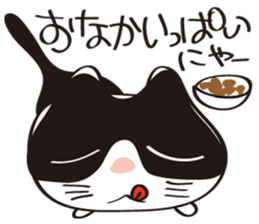 Cool beauty cat Chi. sticker #6866725