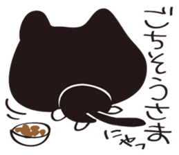 Cool beauty cat Chi. sticker #6866726