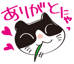 Cool beauty cat Chi. sticker #6866731