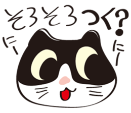 Cool beauty cat Chi. sticker #6866734