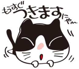 Cool beauty cat Chi. sticker #6866735