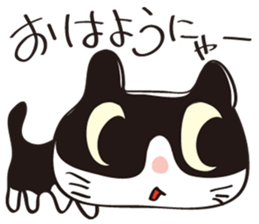 Cool beauty cat Chi. sticker #6866738