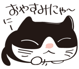 Cool beauty cat Chi. sticker #6866739