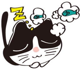 Cool beauty cat Chi. sticker #6866741