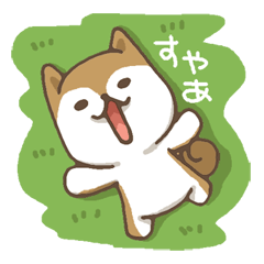 Shiba Inu "YO"