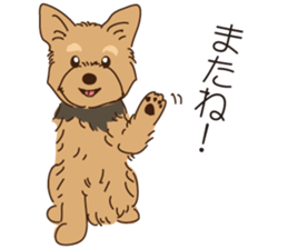 YO! YO! Yorkie!! sticker #6871326