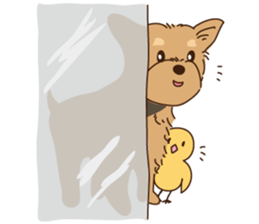 YO! YO! Yorkie!! sticker #6871329