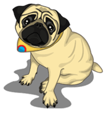 Maruchan the Pug sticker #6873388