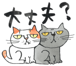 Stray cat to hear the story sticker #6873801