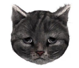 NukomonSticker sticker #6874067