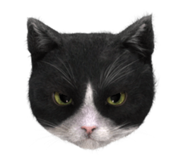 NukomonSticker sticker #6874069