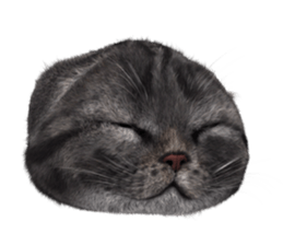 NukomonSticker sticker #6874071