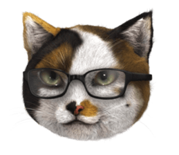 NukomonSticker sticker #6874074