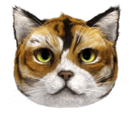 NukomonSticker sticker #6874084