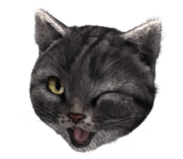 NukomonSticker sticker #6874092