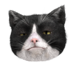 NukomonSticker sticker #6874098