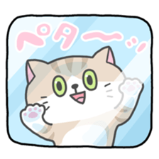 Jumble of various cat sticker #6874914