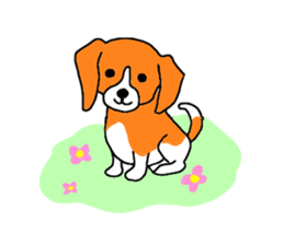 Cute beagle, Hana sticker #6875671