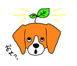 Cute beagle, Hana sticker #6875685