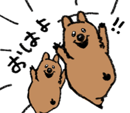 Play with Quokka! sticker #6876544